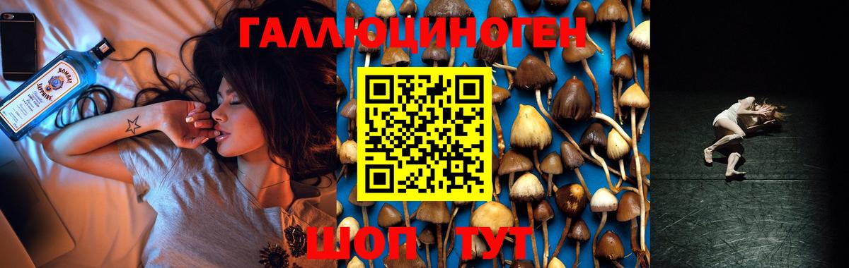 Псилоцибиновые грибы ЛСД  Вход с VPN  Псилоцибиновые грибы прущие грибы  Уссурийск 